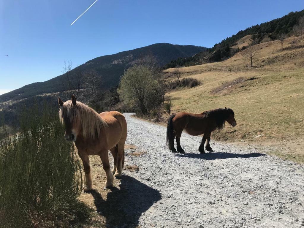 Casa De La Font De Dalt Villa Queralbs Dış mekan fotoğraf