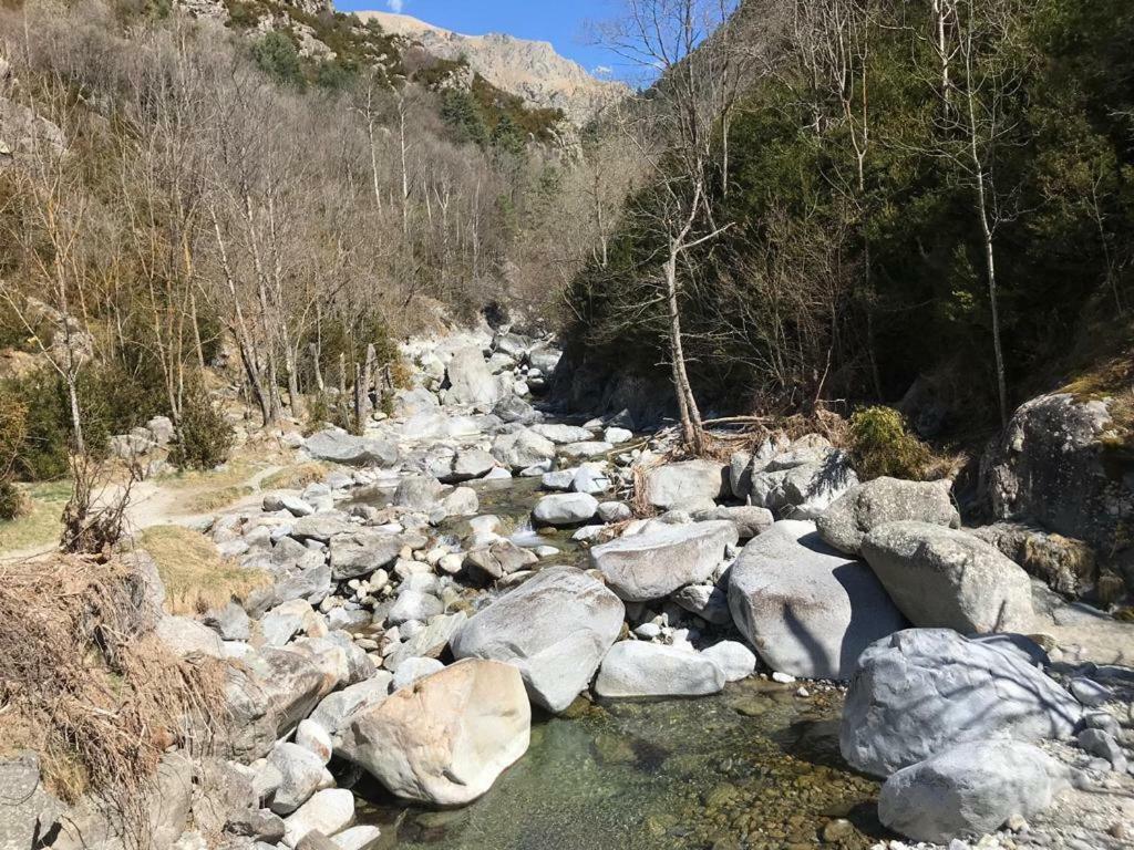 Casa De La Font De Dalt Villa Queralbs Dış mekan fotoğraf